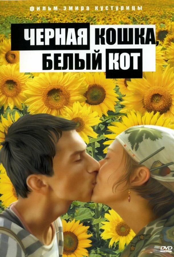 Фильм Черная кошка, белый кот 1998 смотреть онлайн
